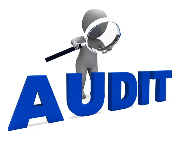 Why Is Resume Audit Significant?